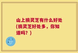 山上摘灵芝有什么好处(摘灵芝好处多，你知道吗？)