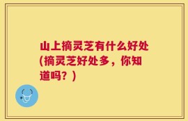山上摘灵芝有什么好处(摘灵芝好处多，你知道吗？)