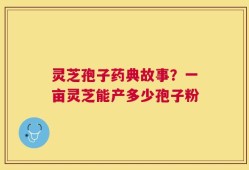 灵芝孢子药典故事？一亩灵芝能产多少孢子粉