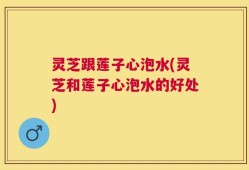 灵芝跟莲子心泡水(灵芝和莲子心泡水的好处)