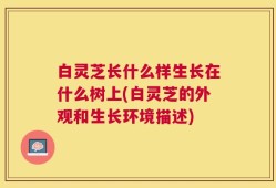 白灵芝长什么样生长在什么树上(白灵芝的外观和生长环境描述)