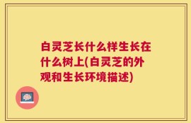 白灵芝长什么样生长在什么树上(白灵芝的外观和生长环境描述)