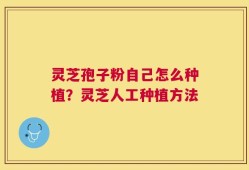 灵芝孢子粉自己怎么种植？灵芝人工种植方法