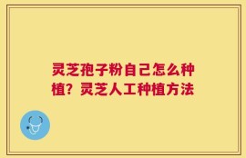 灵芝孢子粉自己怎么种植？灵芝人工种植方法
