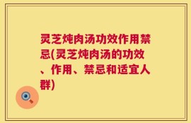 灵芝炖肉汤功效作用禁忌(灵芝炖肉汤的功效、作用、禁忌和适宜人群)