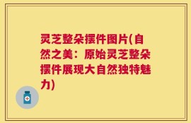 灵芝整朵摆件图片(自然之美：原始灵芝整朵摆件展现大自然独特魅力)