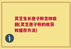 灵芝生长孢子粉怎样收回(灵芝孢子粉的收获和储存方法)