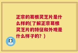 正宗的葛根灵芝片是什么样的(了解正宗葛根灵芝片的特征和外观是什么样子的？)