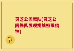 灵芝公园舞队(灵芝公园舞队展现挑战极限精神)