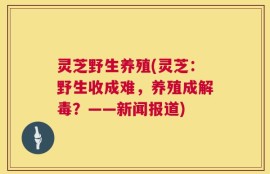 灵芝野生养殖(灵芝：野生收成难，养殖成解毒？——新闻报道)