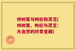 桦树茸与枸杞和灵芝(桦树茸、枸杞与灵芝：大自然的珍贵宝藏)