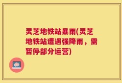 灵芝地铁站暴雨(灵芝地铁站遭遇强降雨，需暂停部分运营)