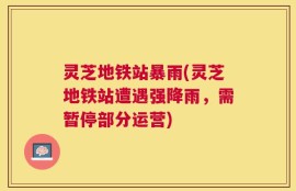 灵芝地铁站暴雨(灵芝地铁站遭遇强降雨，需暂停部分运营)