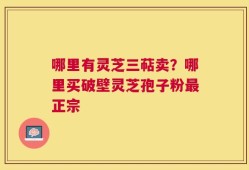 哪里有灵芝三萜卖？哪里买破壁灵芝孢子粉最正宗