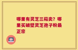 哪里有灵芝三萜卖？哪里买破壁灵芝孢子粉最正宗