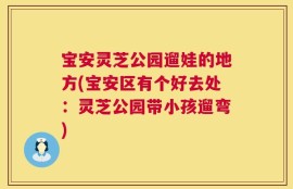 宝安灵芝公园遛娃的地方(宝安区有个好去处：灵芝公园带小孩遛弯)