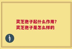 灵芝孢子起什么作用？灵芝孢子是怎么样的