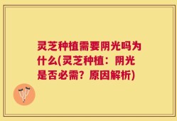 灵芝种植需要阴光吗为什么(灵芝种植：阴光是否必需？原因解析)