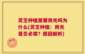 灵芝种植需要阴光吗为什么(灵芝种植：阴光是否必需？原因解析)