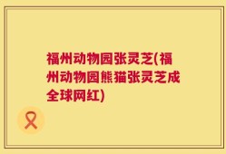 福州动物园张灵芝(福州动物园熊猫张灵芝成全球网红)