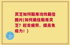 灵芝如何服用功效最佳图片(如何最佳服用灵芝？赶走疲劳、提高免疫力！)
