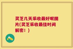 灵芝几天采收最好呢图片(灵芝采收最佳时间解密！)