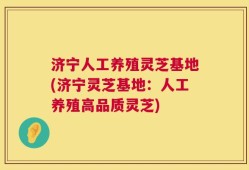 济宁人工养殖灵芝基地(济宁灵芝基地：人工养殖高品质灵芝)