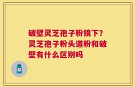 破壁灵芝孢子粉镜下？灵芝孢子粉头道粉和破壁有什么区别吗