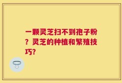 一颗灵芝扫不到孢子粉？灵芝的种植和繁殖技巧？