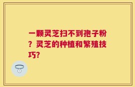一颗灵芝扫不到孢子粉？灵芝的种植和繁殖技巧？