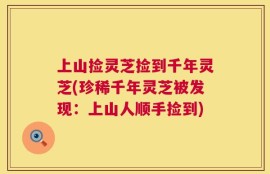 上山捡灵芝捡到千年灵芝(珍稀千年灵芝被发现：上山人顺手捡到)