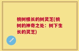 桃树根长的树灵芝(桃树的神奇之处：树下生长的灵芝)
