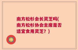 南方松杉会长灵芝吗(南方松杉协会主席是否适宜食用灵芝？)