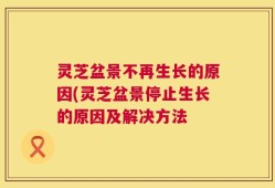 灵芝盆景不再生长的原因(灵芝盆景停止生长的原因及解决方法