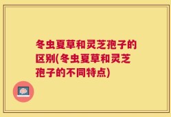 冬虫夏草和灵芝孢子的区别(冬虫夏草和灵芝孢子的不同特点)
