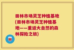 田林市场灵芝种植基地(田林市场灵芝种植基地——重返大自然的森林探险之旅)