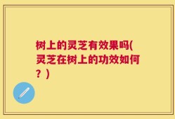 树上的灵芝有效果吗(灵芝在树上的功效如何？)