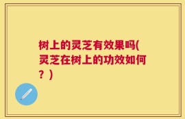 树上的灵芝有效果吗(灵芝在树上的功效如何？)