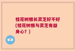 桂花树根长灵芝好不好(桂花树根与灵芝有益身心？)