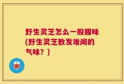 野生灵芝怎么一股腥味(野生灵芝散发难闻的气味？)