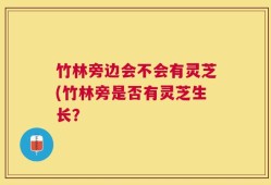 竹林旁边会不会有灵芝(竹林旁是否有灵芝生长？