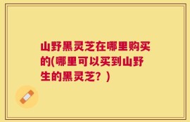山野黑灵芝在哪里购买的(哪里可以买到山野生的黑灵芝？)