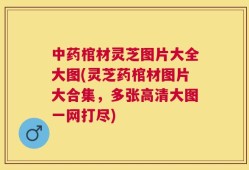 中药棺材灵芝图片大全大图(灵芝药棺材图片大合集，多张高清大图一网打尽)