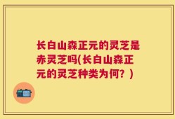 长白山森正元的灵芝是赤灵芝吗(长白山森正元的灵芝种类为何？)