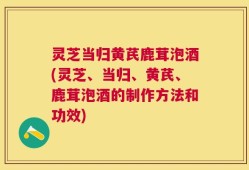 灵芝当归黄芪鹿茸泡酒(灵芝、当归、黄芪、鹿茸泡酒的制作方法和功效)