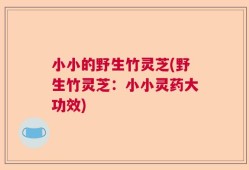 小小的野生竹灵芝(野生竹灵芝：小小灵药大功效)