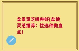 盆景灵芝哪种好(盆栽灵芝推荐：优选种类盘点)