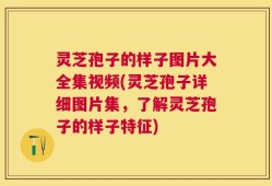 灵芝孢子的样子图片大全集视频(灵芝孢子详细图片集，了解灵芝孢子的样子特征)