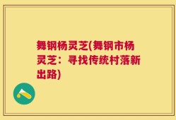 舞钢杨灵芝(舞钢市杨灵芝：寻找传统村落新出路)