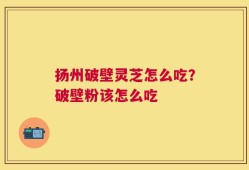扬州破壁灵芝怎么吃？破壁粉该怎么吃